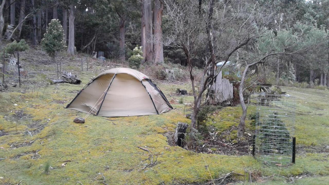 Base Camp Tasmania Hotel New Norfolk Bagian luar foto